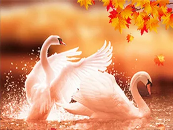 

Diamond Embroidery Swans Full Square Diamond Painting Animal Diamond Mosaic Pictures Of Rhinestones Cross Stitch Sale