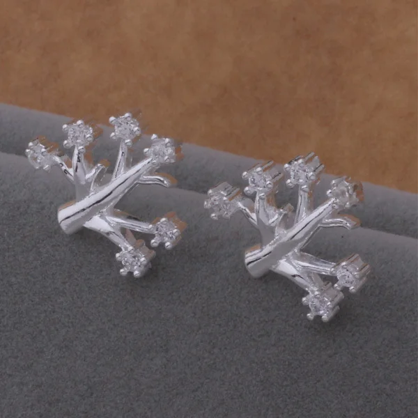 

wholesale High quality silver Fashion jewelry errrings WE-617