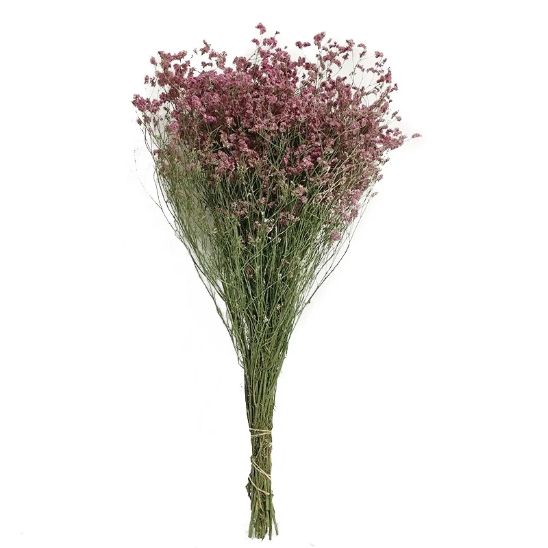 Preserved Fresh Dried Crystal Grass Branch For Wedding Home Party Holiday Decorate DIY Bouquet Project Accessory SAD71 (7)