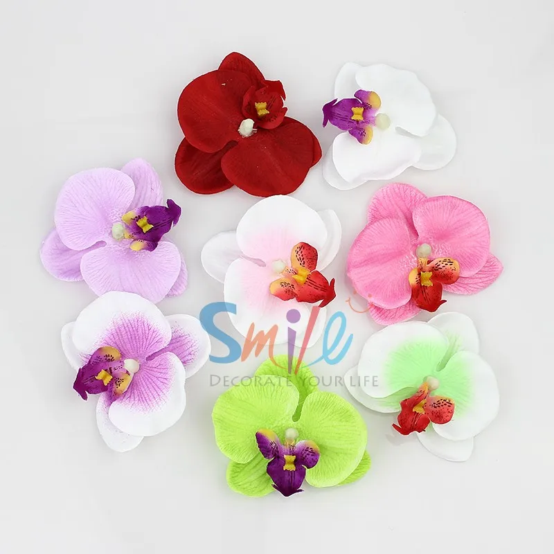 butterfly orchid Flowers 212