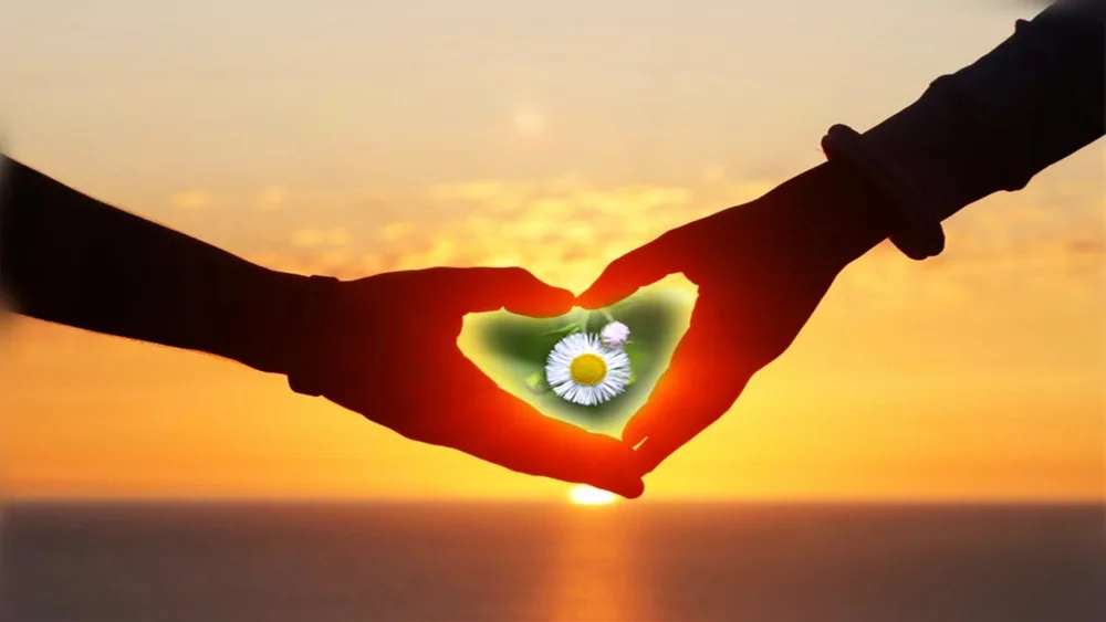 ChMkJ1fIP0eIeNpjAAOKIjiVHmQAAU6LgBRK9UAA4o6524_