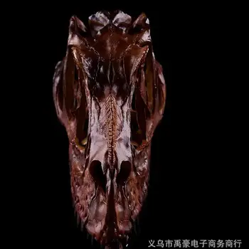 

Nasaurus Dinosaurs Skull resin Home decoration family decoration family head statue home decoration