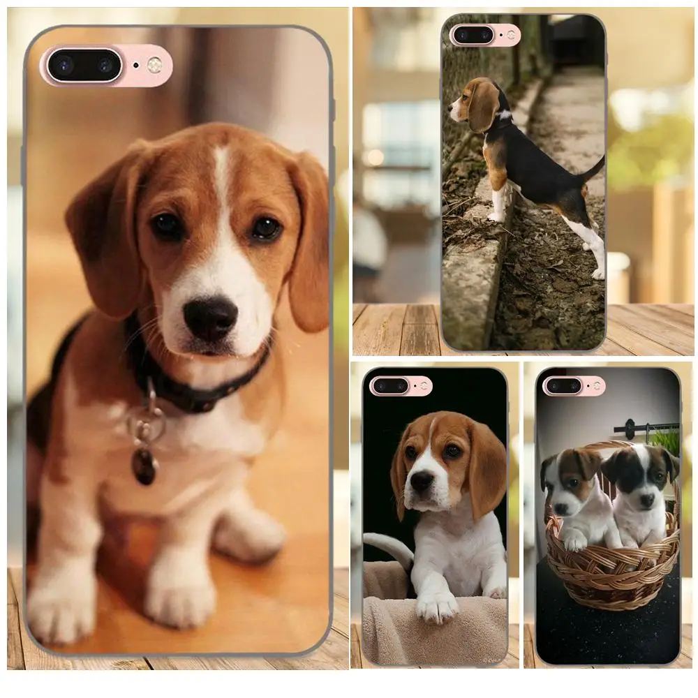 Чехол из ТПУ Sweet Beagles Puppies Loyal Dog для Apple iPhone X XS Max XR 4 4S 5 5S SE 6 6S 7 8 Plus|Чехлы-накладки| |