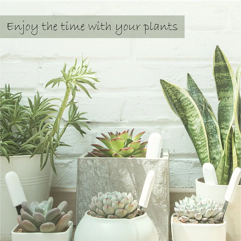 Цифровой прибор для измерения уровня воды Xiaomi Mi Flora цифровой в растениях траве