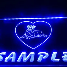 DZ079-для персонализированного названия дома собаки светодиодный неоновый свет знак