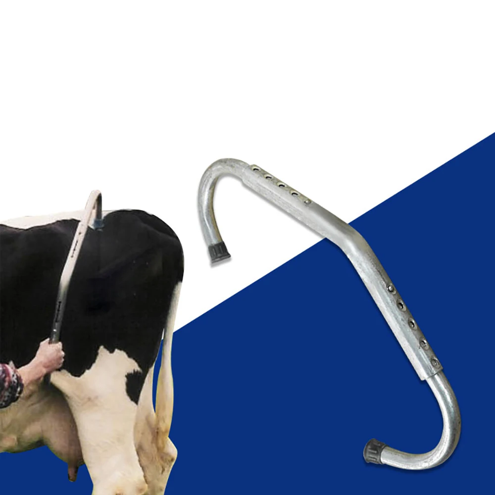 1 шт. Регулируемый Гальванизированный трубопровод для крупного рогатого скота, палка для ловли коровы, рыболовные снасти, противоугонное устройство, штанга, ветеринарное оборудование, инструменты