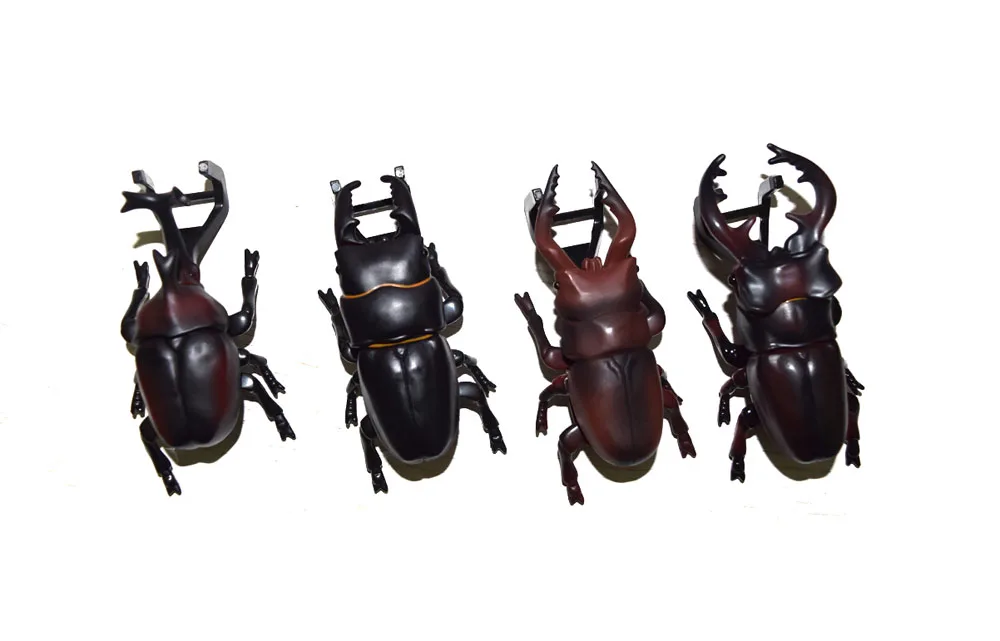 beetle bug toy