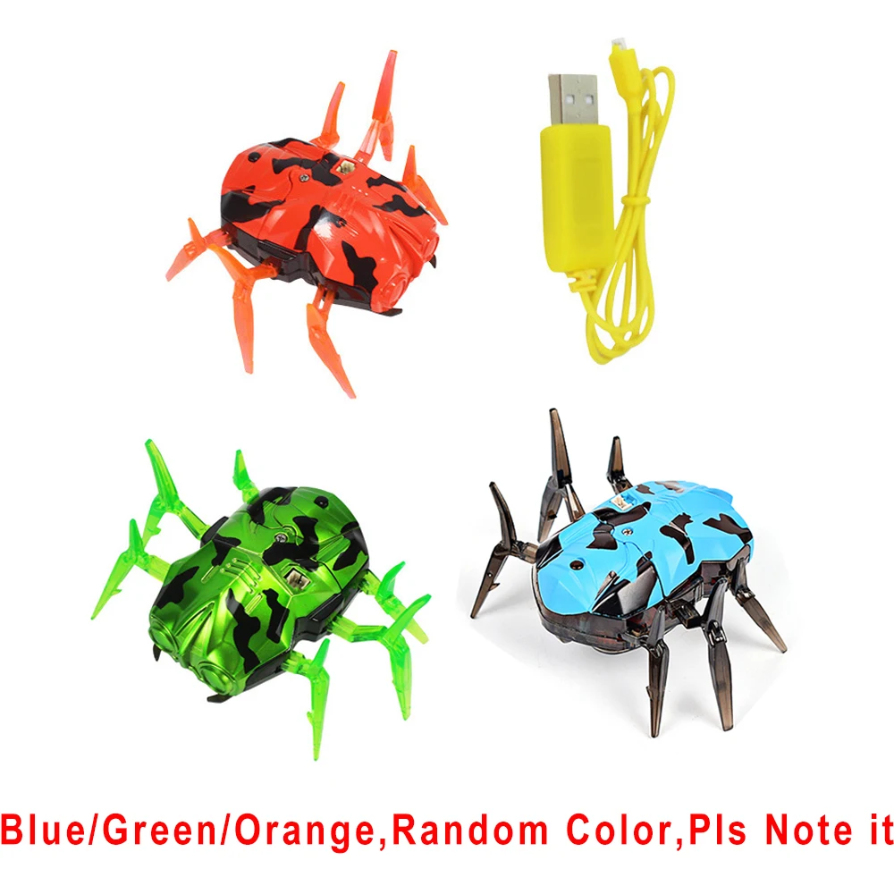 random color