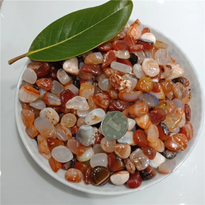 IMG20190223135717