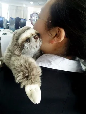 sloth (3)