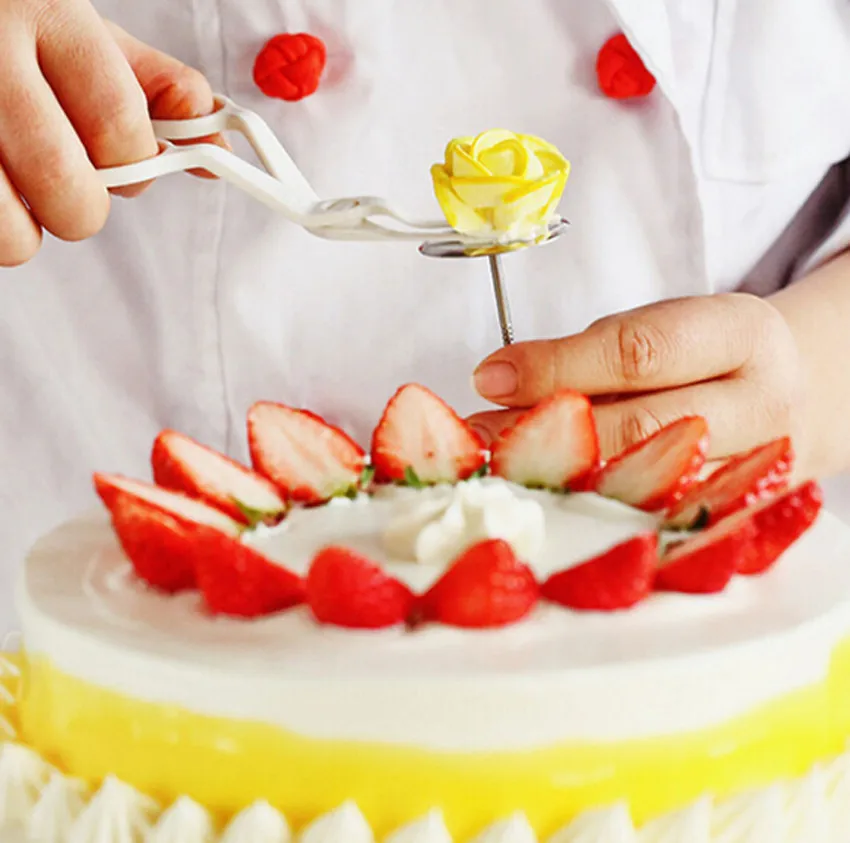 Cake Decorating Supplies Australia Vetwill Com Australian Cake Decorating Supplies Vetwill