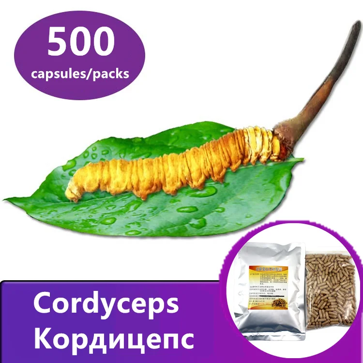 Кордицепс mycelium 500 таблеток/пачек китайский грибок гусеницы кордицепс sinensis aweto