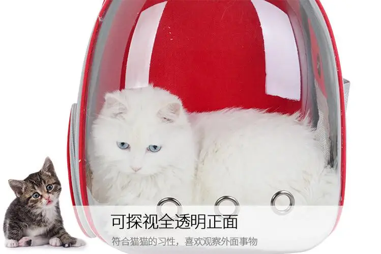 QQ20181130160155