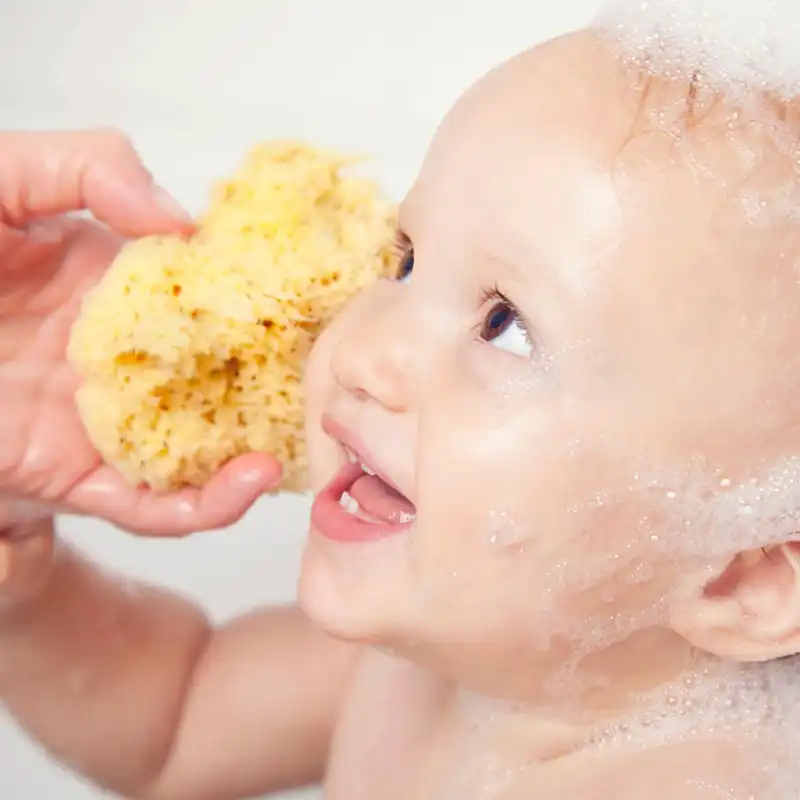 baby wash sponge