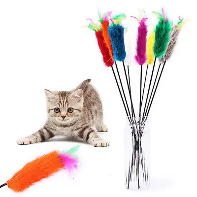 

Hot 1pcs Great Kitten Play Interactive Fun Toy Cat Teaser Wand Pet Colorful Feather Rod Bead Play Interactive Pet Toys