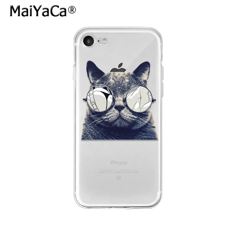Cute Cat Kitten