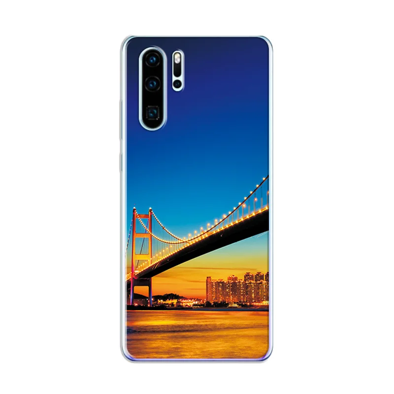 For Huawei P20 Cute Painted Case Fundas For Huawei P20 P30 Lite Soft Silicone Cover Novelty Phone Case Coque For Huawei P30 Pro