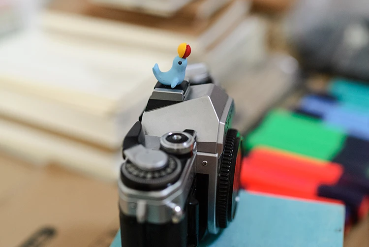 市場 Gosear の 3d キヤノン の形ホットシュー ニコン 漫画 かわいい カバー 猫