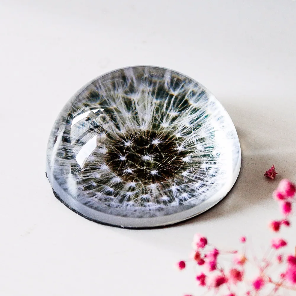 H&D 3inch Crystal Glass Dandelion Half Ball Paperweight Quartz Sphere