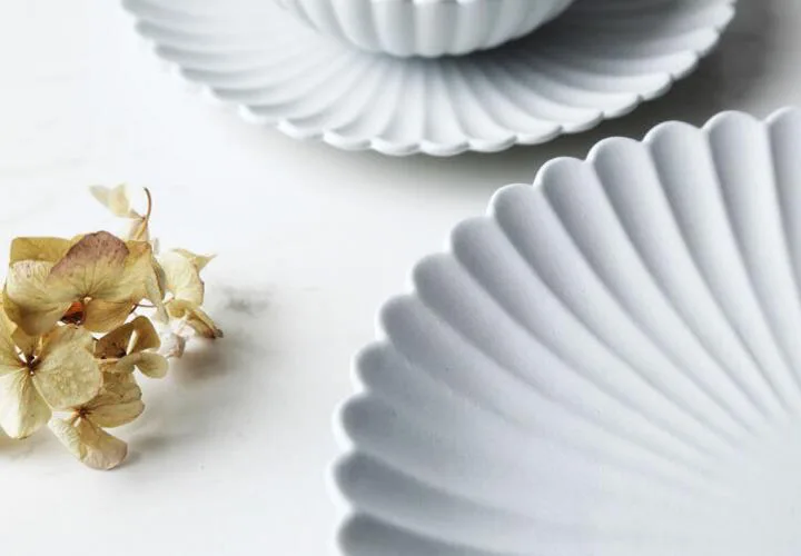 dish12