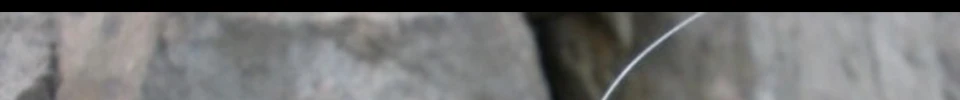 ENG_03