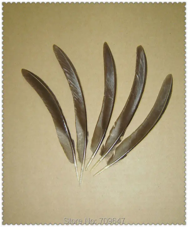 50Pcs/Lot!10-12cm Rarely Nature Curved Golden Pheasant Quill Feathers Plumas feathers for crafts | Дом и сад