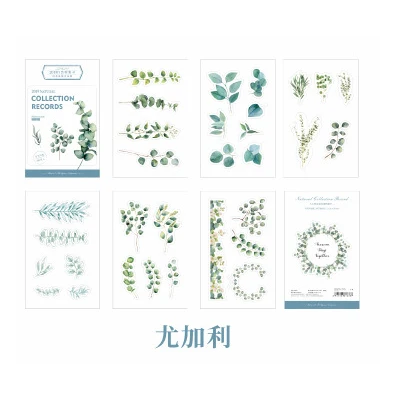eucalyptus