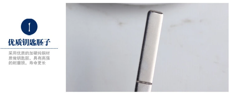 Citroen C2 New Picasso modified key shell (3)