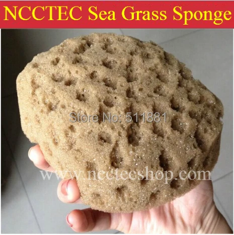 

6'' NCCTEC round Man-made sea grass sponge for wall painting FREE shipping | 150mm art limitation grass sea sponge