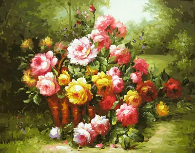  40x50