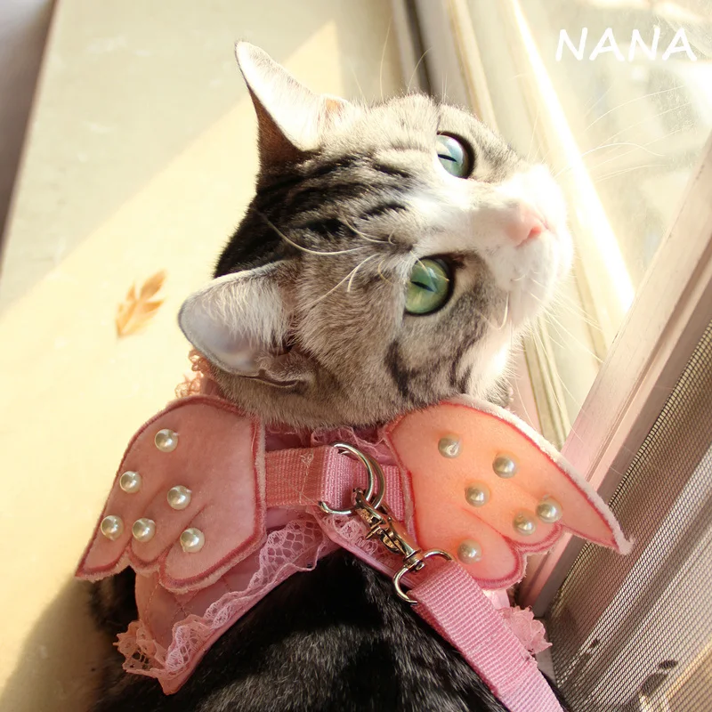 

Pet traction belt Angel wings traction belt with Pearl 5 Size Suitable for dogs and cats