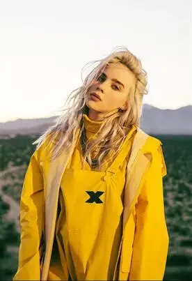 

Billie Eilish Art Wall Decor Silk Print Poster