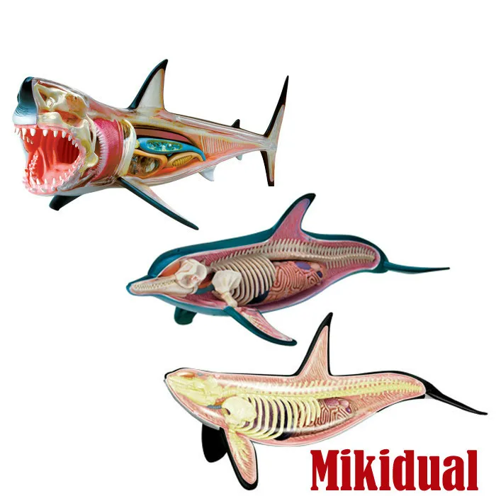 

Educational 4D DIY Master Toys for Children Cool Skelekon Anatomy mkd2 Fish Action Figure Ocean Animals Shark Dophin Whale