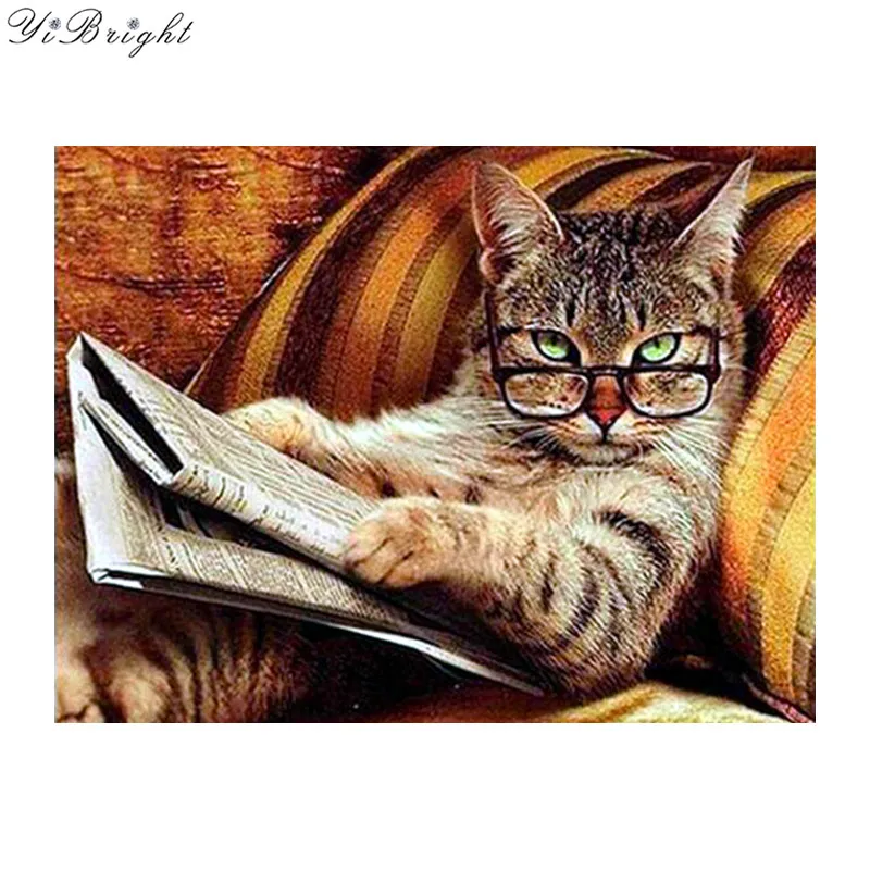 48+ Cat Reading A Book Embroidery