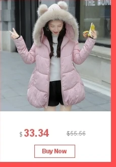 dianxiaobao