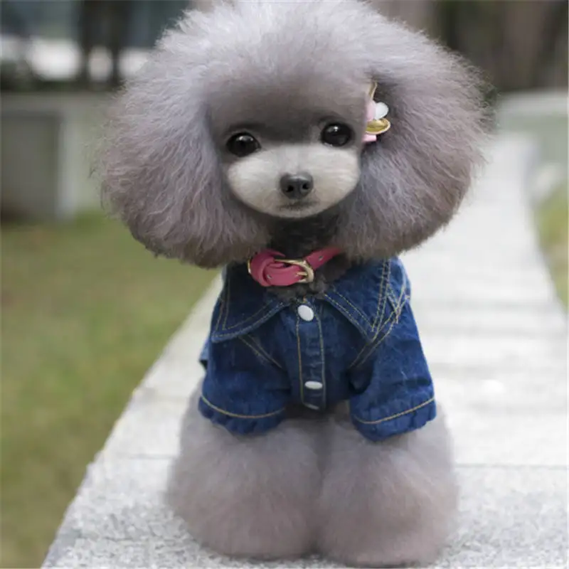

Summer Dogs Clothes Jeans Coat Cat Dog Animal Cowboy Jean Jacket Four Leg Denim Clothing For Dogs