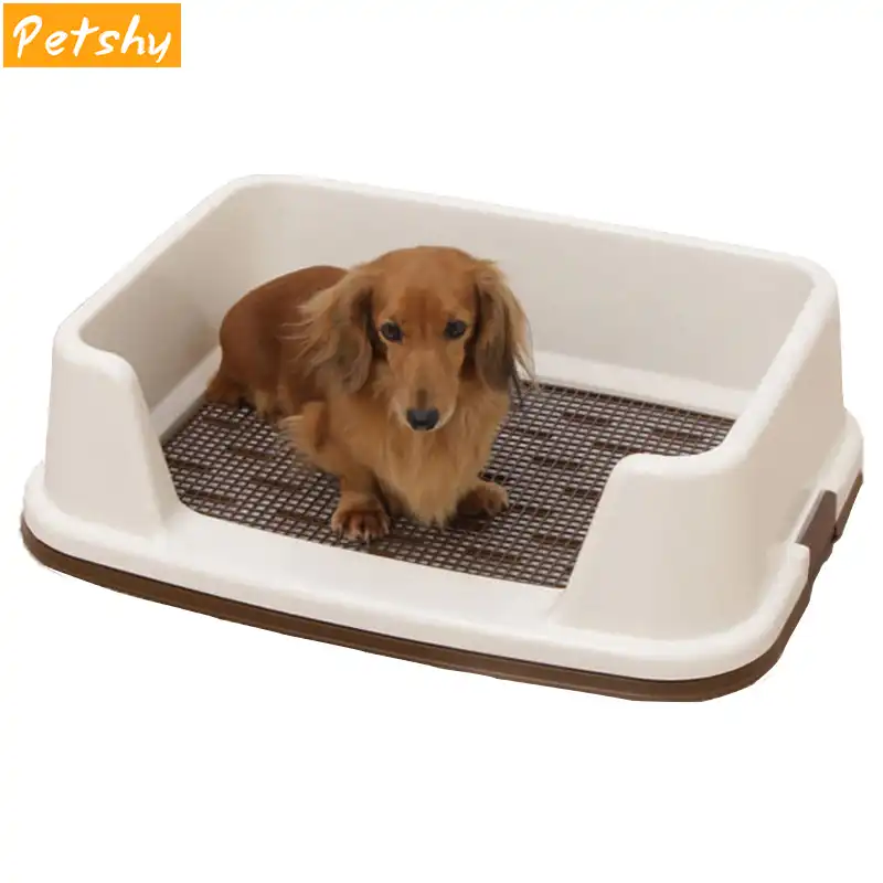 Bacia Para Cachorro Dormir - FDPLEARN