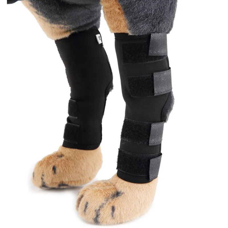 Наколенник для собак собачья задняя нога Hock защита суставов повязка на суставы обертывание ран заживляет предотвращает травму растяжения полос