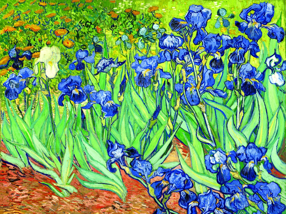 04(90x70)TV3040