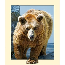 На заказ Алмазная картина eigen foto птица Мишка Тедди 5d diy Мандала Алмазная картина Полная площадь/круглые фильмы для украшения дома