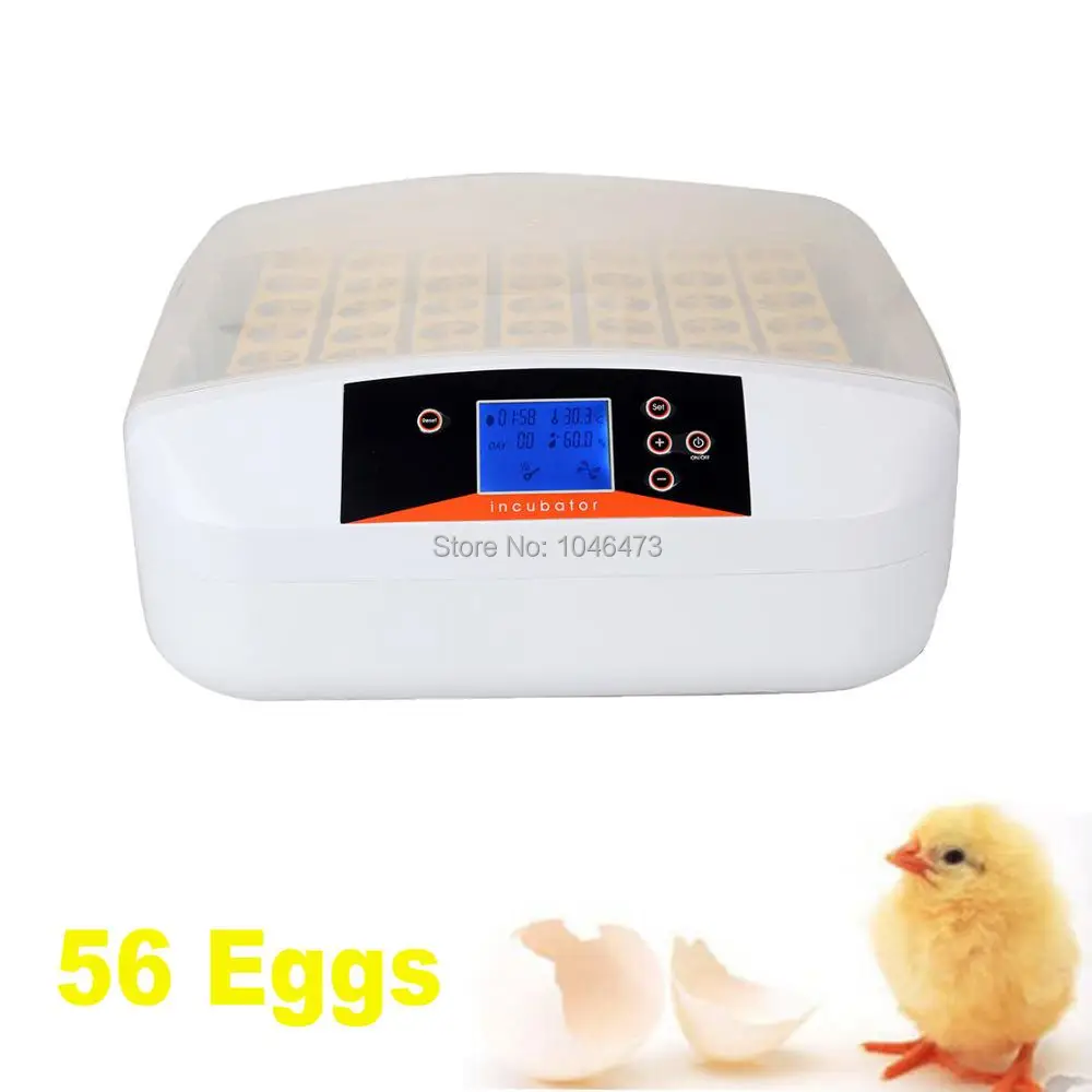 Ship from Germany Update Automatic LED Display 56 Chicken Duck Poultry Hatcher Egg Quail Duck