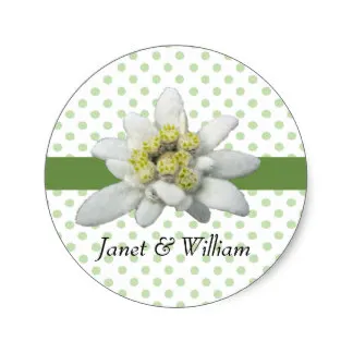

3.8m Edelweiss and Polka Dots Wedding Envelope Seal