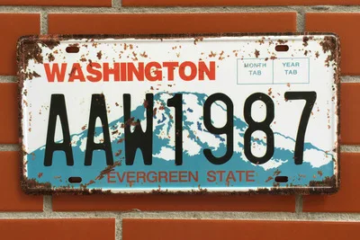 Хит, американский автомобильный номер, США, номерной знак, гаражная табличка, металлическая жестяная вывеска, украшение для бара, винтажный домашний декор, 15x30 см - Цвет: 2