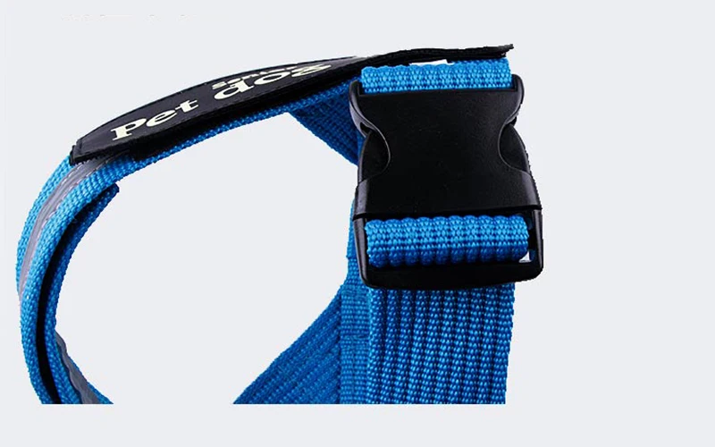 Harnesses-16-09