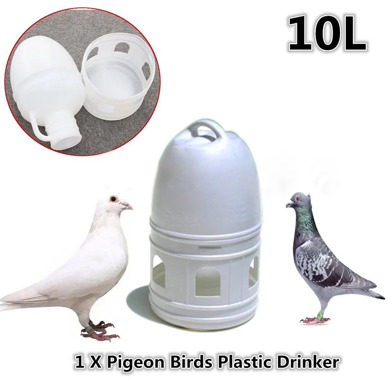 10L White Removeble White Plastic Drinker with Handle for Pigeon Bird Supplies