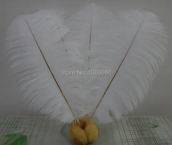 

EMS Free Shipping! 200pcs/lot 40-45cm 16-18" Top quality White ostrich feathers ostrich plumages plumes