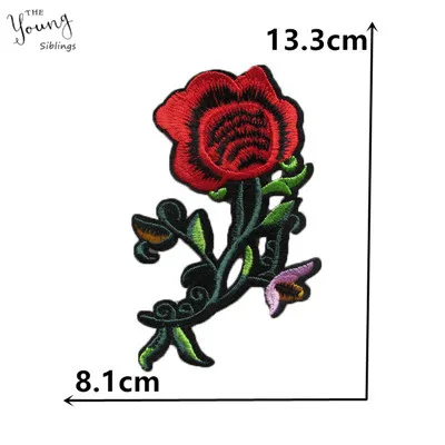 C5443 (2)