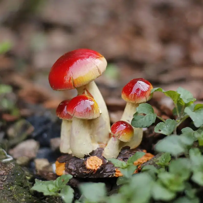 Миниатюрный маленький гриб, красный топ, сказочные Садовые принадлежности украшения для террариума