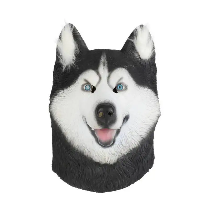 WD0759A4 (1)