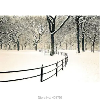 Unframed Central Park Snow Landscape oil painting Or Various Sizes Hand Painted Famous Modern Wall Decoration
Unframed Central Park Snow Landscape oil painting Or Various Sizes Hand Painted Famous Modern Wall Decoration